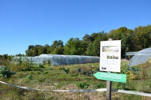 La ferme de la Bourdaisière